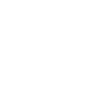 Borde_Rio_Pucon_Logo-2 (1)